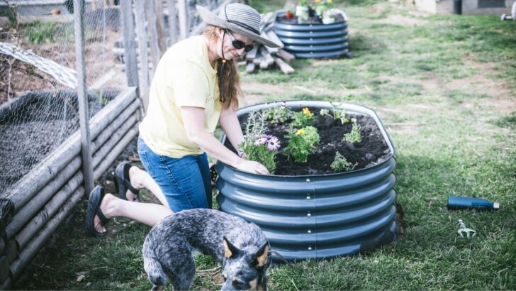 Best Vegetables to Grow in a Small Garden